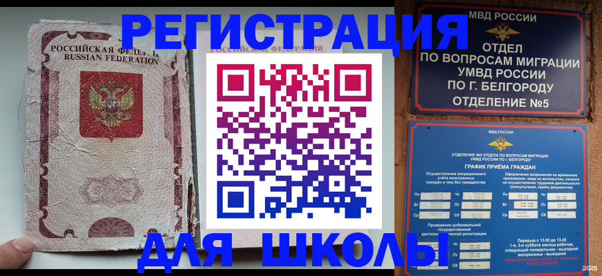прописка гарантия в Вяземском